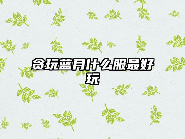 贪玩蓝月什么服最好玩