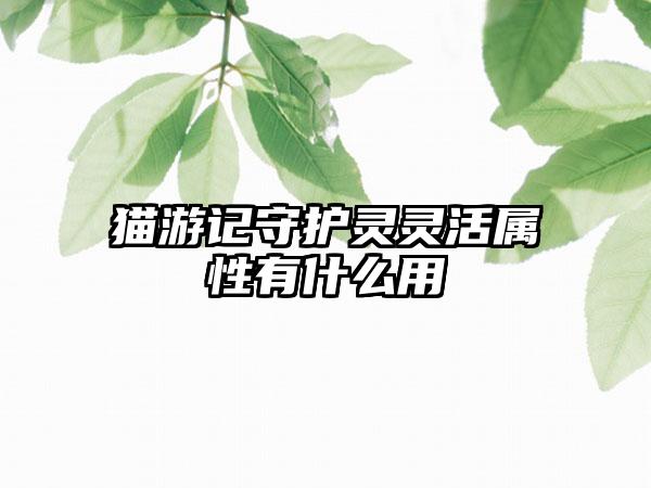 猫游记守护灵灵活属性有什么用