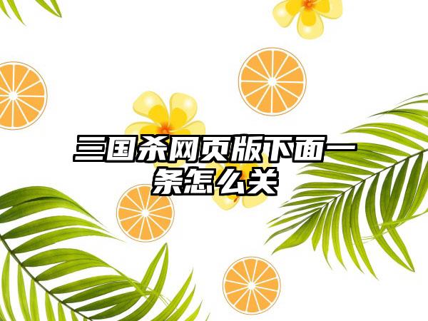 三国杀网页版下面一条怎么关