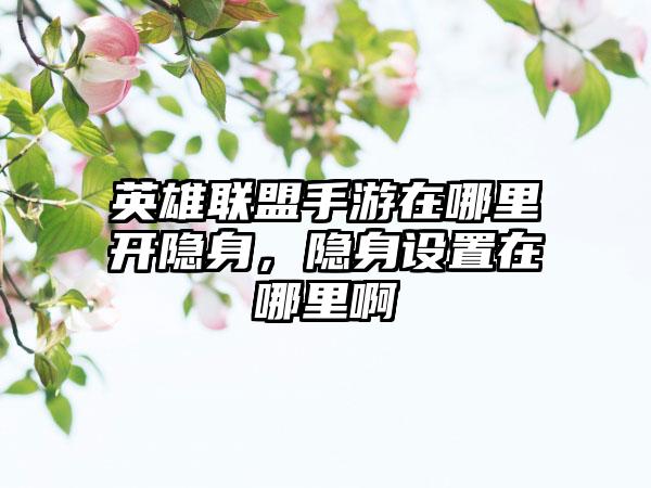 英雄联盟手游在哪里开隐身，隐身设置在哪里啊