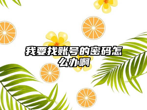 我要找账号的密码怎么办啊