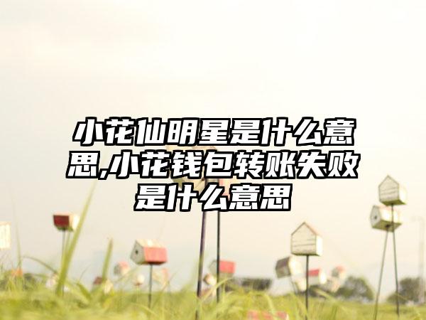 小花仙明星是什么意思,小花钱包转账失败是什么意思
