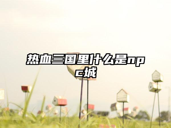 热血三国里什么是npc城