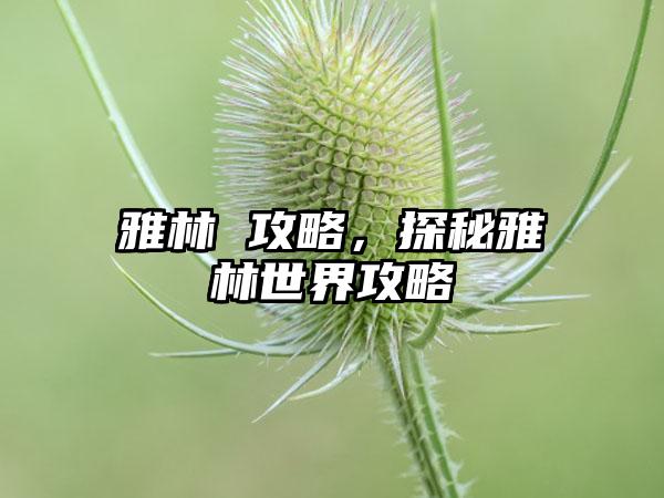 雅林 攻略，探秘雅林世界攻略