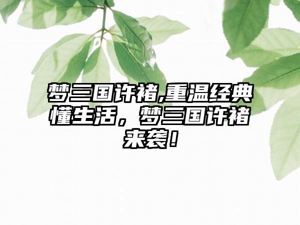 梦三国许褚,重温经典懂生活，梦三国许褚来袭！