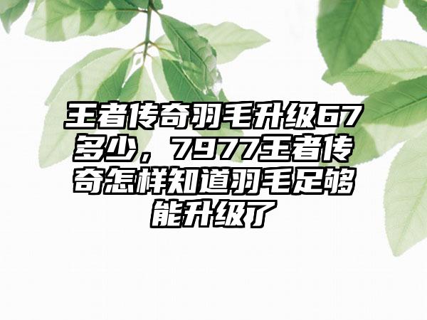 王者传奇羽毛升级67多少，7977王者传奇怎样知道羽毛足够能升级了
