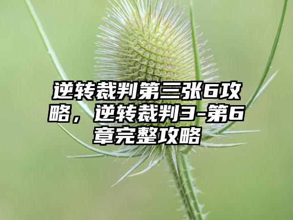 逆转裁判第三张6攻略，逆转裁判3-第6章完整攻略