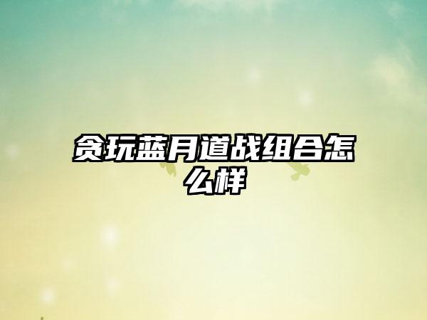 贪玩蓝月道战组合怎么样