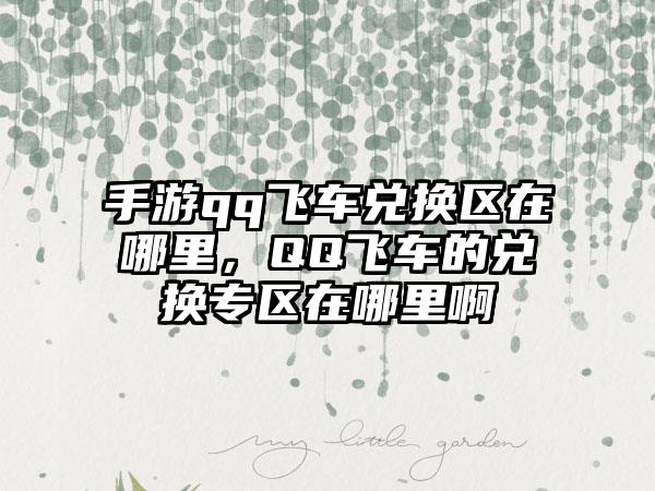手游qq飞车兑换区在哪里，QQ飞车的兑换专区在哪里啊