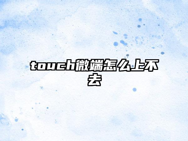 touch微端怎么上不去