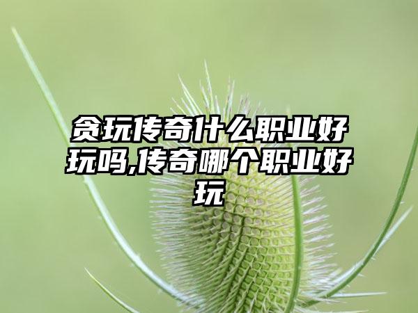 贪玩传奇什么职业好玩吗,传奇哪个职业好玩