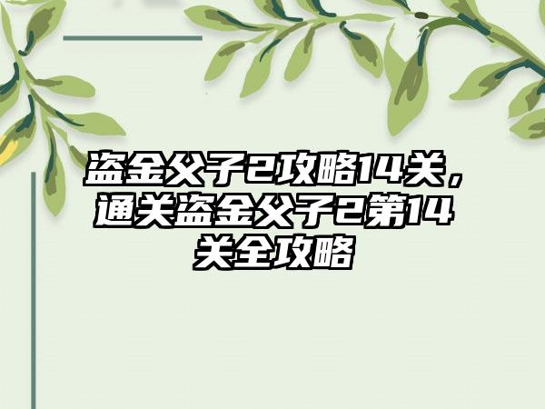 盗金父子2攻略14关，通关盗金父子2第14关全攻略