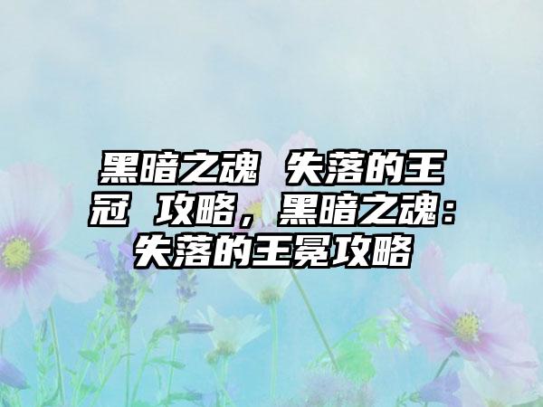 黑暗之魂 失落的王冠 攻略，黑暗之魂：失落的王冕攻略