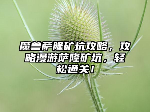 魔兽萨隆矿坑攻略，攻略漫游萨隆矿坑，轻松通关！