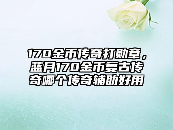 170金币传奇打勋章，蓝月170金币复古传奇哪个传奇辅助好用