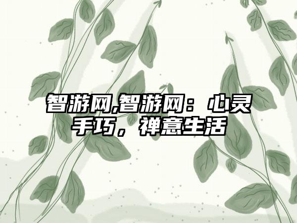 智游网,智游网：心灵手巧，禅意生活