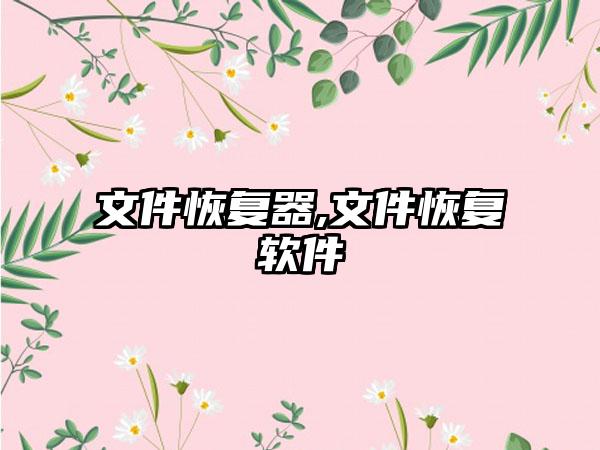 文件恢复器,文件恢复软件