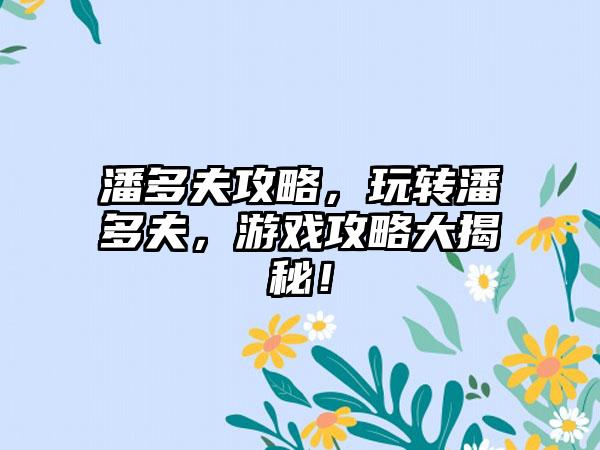 潘多夫攻略，玩转潘多夫，游戏攻略大揭秘！