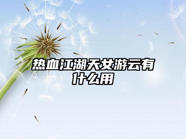 热血江湖天女游云有什么用