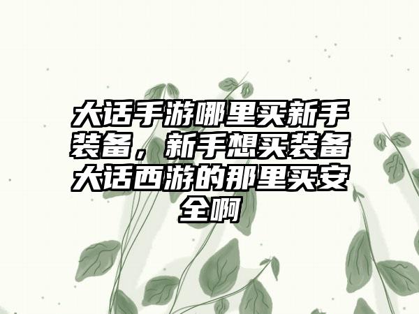 大话手游哪里买新手装备，新手想买装备大话西游的那里买安全啊