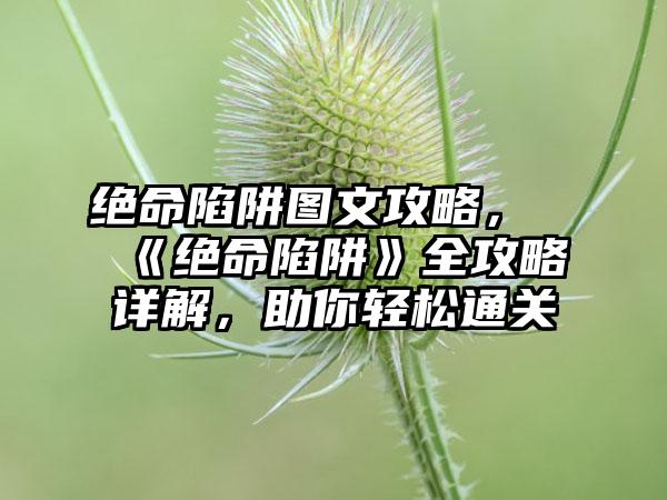 绝命陷阱图文攻略，《绝命陷阱》全攻略详解，助你轻松通关