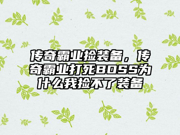 传奇霸业捡装备，传奇霸业打死BOSS为什么我捡不了装备