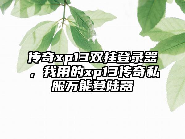 传奇xp13双挂登录器，我用的xp13传奇私服万能登陆器