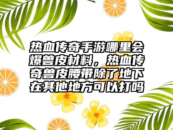 热血传奇手游哪里会爆兽皮材料，热血传奇兽皮腰带除了地下在其他地方可以打吗