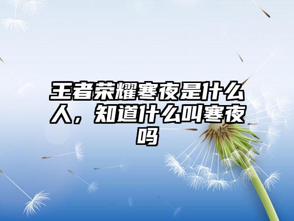 王者荣耀寒夜是什么人，知道什么叫寒夜吗