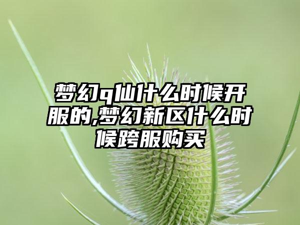 梦幻q仙什么时候开服的,梦幻新区什么时候跨服购买