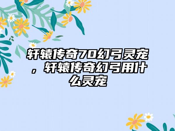 轩辕传奇70幻弓灵宠，轩辕传奇幻弓用什么灵宠