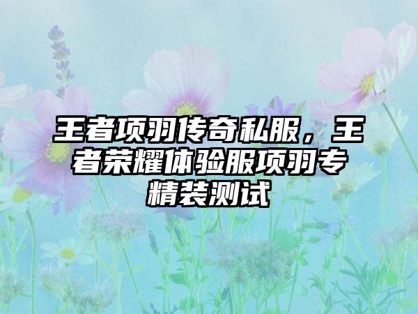 王者项羽传奇私服，王者荣耀体验服项羽专精装测试