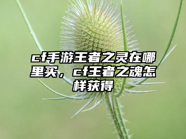 cf手游王者之灵在哪里买，cf王者之魂怎样获得