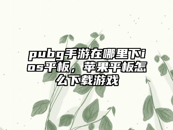 pubg手游在哪里下ios平板，苹果平板怎么下载游戏