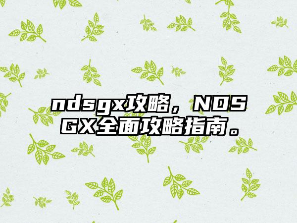 ndsgx攻略，NDSGX全面攻略指南。