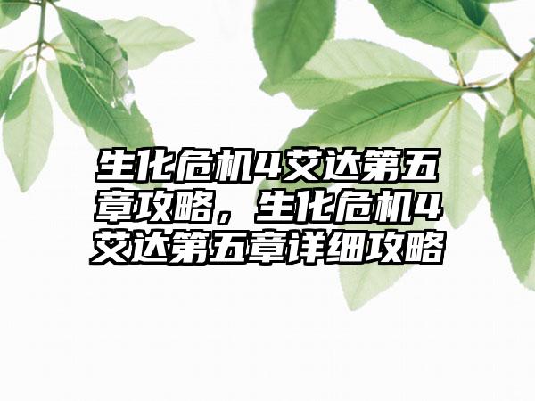 生化危机4艾达第五章攻略，生化危机4艾达第五章详细攻略