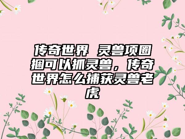 传奇世界 灵兽项圈捆可以抓灵兽，传奇世界怎么捕获灵兽老虎