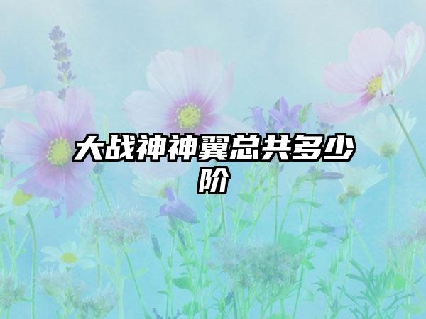 大战神神翼总共多少阶