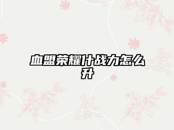 血盟荣耀什战力怎么升