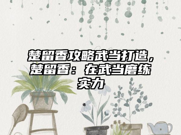 楚留香攻略武当打造，楚留香：在武当磨练实力