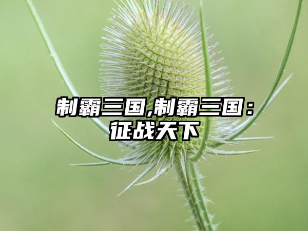 制霸三国,制霸三国：征战天下