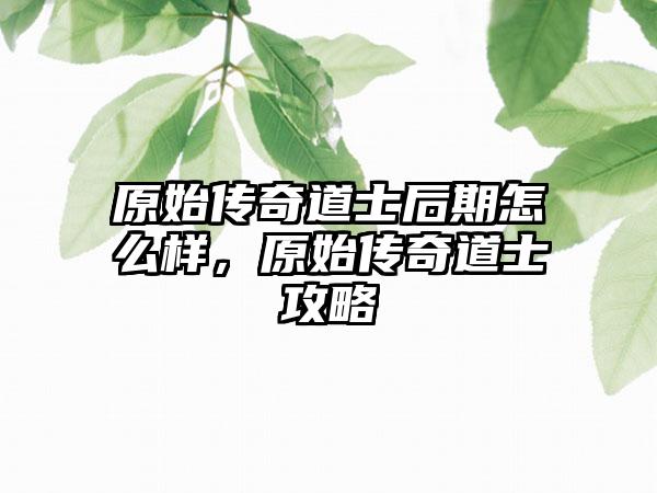 原始传奇道士后期怎么样，原始传奇道士攻略