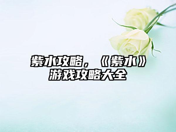 紫水攻略，《紫水》游戏攻略大全