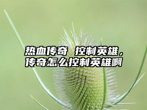 热血传奇 控制英雄，传奇怎么控制英雄啊