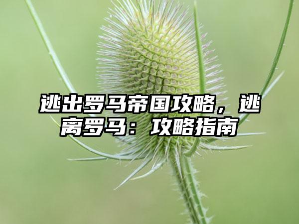 逃出罗马帝国攻略，逃离罗马：攻略指南