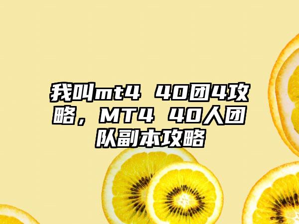 我叫mt4 40团4攻略，MT4 40人团队副本攻略