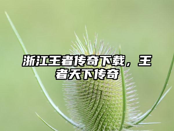 浙江王者传奇下载，王者天下传奇