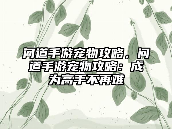 问道手游宠物攻略，问道手游宠物攻略：成为高手不再难