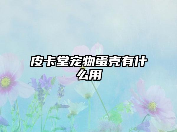 皮卡堂宠物蛋壳有什么用