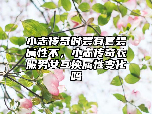 小志传奇时装有套装属性不，小志传奇衣服男女互换属性变化吗